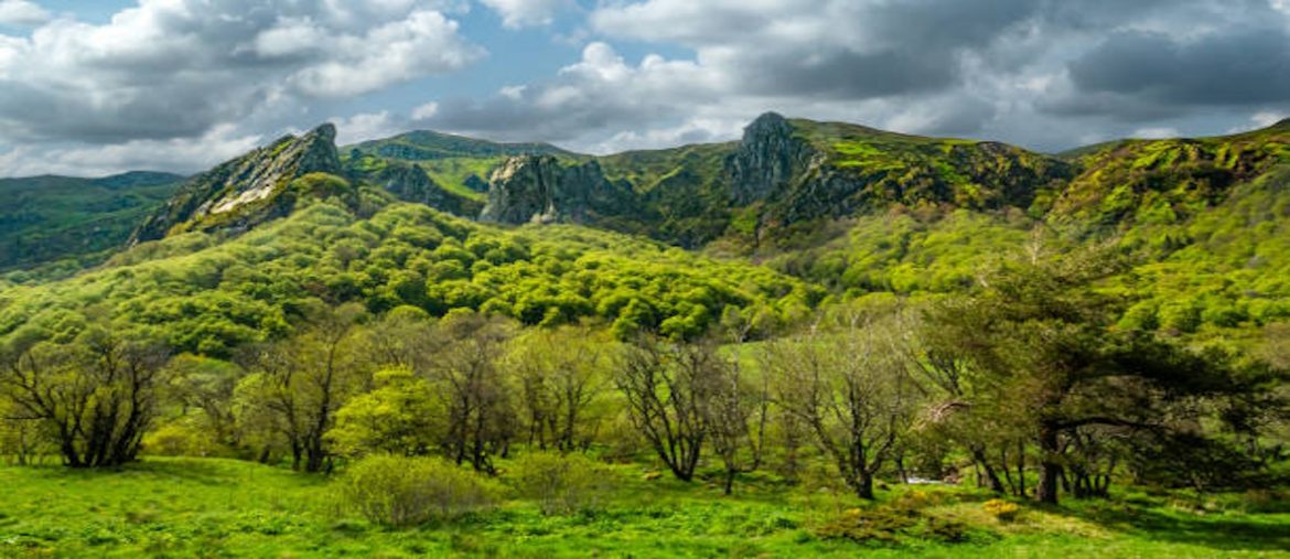 Sancy